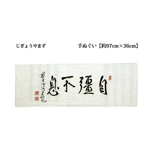 剣道 手ぬぐい じきょうやまず 自彊不息