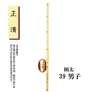  Ó^  39 jq  wEʗp SSPV[t |p|̂