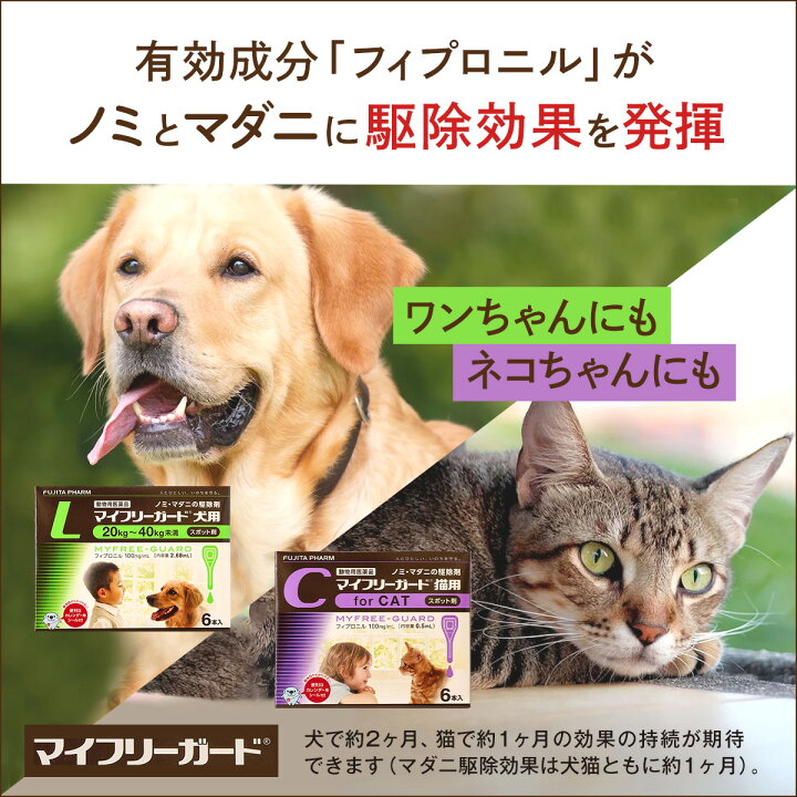 楽天市場】【送料無料】マイフリーガード 犬用 S（体重：2〜10kg未満）1箱（30本入）クリニックパック【動物用医薬品】ノミ・マダニ対策 : Pet  Clinic Tokyo