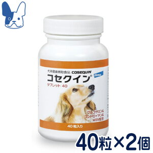 �G�����R�@�R�Z�N�C���@�^�u���b�g40�@40��×2�Z�b�g�@�m���p���N�⏕�H�i�n