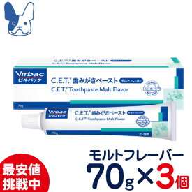 楽天市場 ビルバック 歯磨きペーストの通販