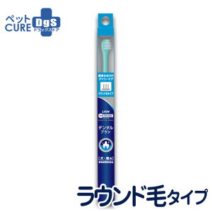 LION PETKISS LpuV xbchN^[XybN f^uV Ehу^Cv