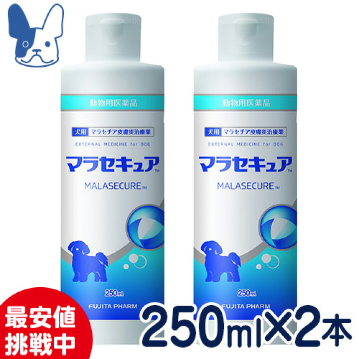 楽天市場 Sale マラセチア皮膚炎治療薬 犬用 マラセキュアシャンプー 250ml ２本セット 動物用医薬品 国産 ペットcure Dgs 楽天市場店