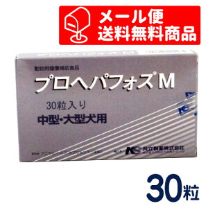 @vwptHXM@30y[֐pz[^`^pN⏕Hi]