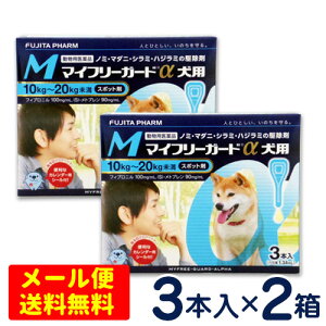 SALEI}Ct[K[h@p@M(10`20kg)@3{×2Zbg@ [4܂Ń[֑ΉEs]@m~E}_j쏜