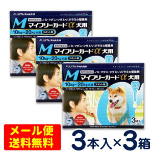 SALEI}Ct[K[h@p@M(10`20kg)@3{×3Zbg@ [4܂Ń[֑ΉEs]@m~E}_j쏜
