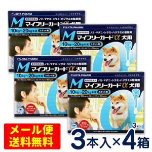 SALEI}Ct[K[h@p@M(10`20kg)@3{×4Zbg@ [4܂Ń[֑ΉEs]@m~E}_j쏜
