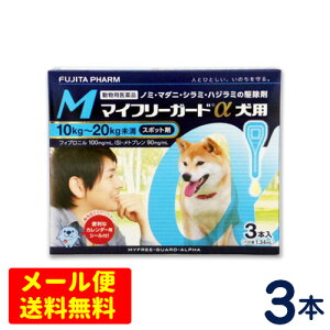 }Ct[K[h@p@M(10`20kg)@3{@ [4܂Ń[֑ΉEs]@m~E}_j쏜