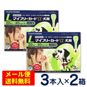SALEI}Ct[K[h@p@L(20`40kg)@3{×2Zbg@ [4܂Ń[֑ΉEs]@m~E}_j쏜