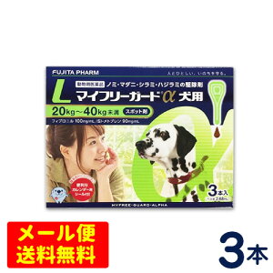 }Ct[K[h@p@L(20`40kg)@3{@ [4܂Ń[֑ΉEs]@m~E}_j쏜