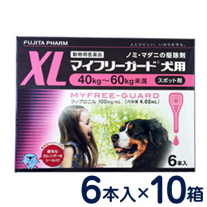 }Ct[K[h@p@XL(40`60kg)@6{×10Zbg@[m~E}_j쏜]