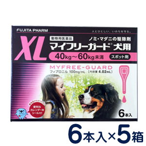 }Ct[K[h@p@XL(40`60kg)@6{×5Zbg@[m~E}_j쏜]