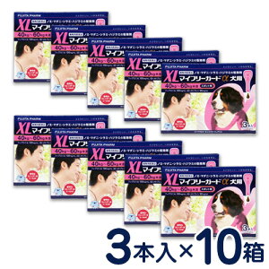 SALEI}Ct[K[h@p@XL(40`60kg)@3{×10Zbg@m~E}_j쏜