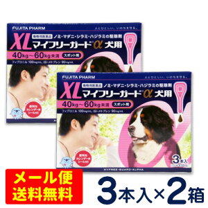 SALEI}Ct[K[h@p@XL(40`60kg)@3{×2Zbg[4܂Ń[֑ΉEs]@m~E}_j쏜