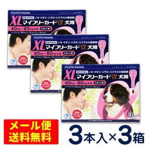 SALEI}Ct[K[h@p@XL(40`60kg)@3{×3Zbg[4܂Ń[֑ΉEs]@m~E}_j쏜