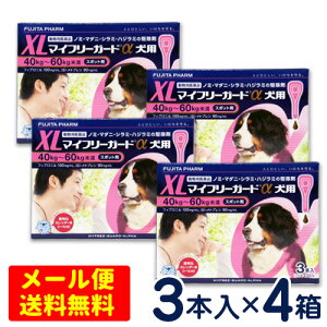 SALEI}Ct[K[h@p@XL(40`60kg)@3{×4Zbg[4܂Ń[֑ΉEs]@m~E}_j쏜