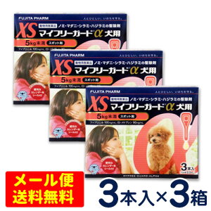 SALEI}Ct[K[h@p@XS(5kg)@3{×3Zbg [4܂Ń[֑ΉEs]