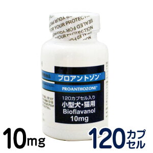 y񂹕iz@vAg]@10mgi120JvZj@[LE^pN⏕Hi]