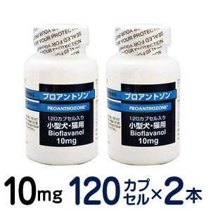 y񂹕iz@vAg]@10mgi120JvZj@×2Zbg@[LE^pN⏕Hi]