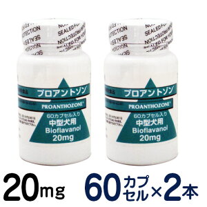 y񂹕iz@vAg]@20mg@×2Zbg@[^pN⏕Hi]