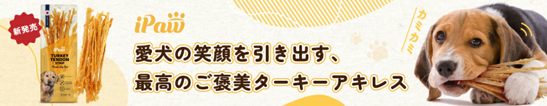 ターキーアキレス　犬おやつ
