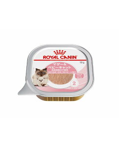 CJi HÖ@H Lp@}U[xr[Lbg@100g×24