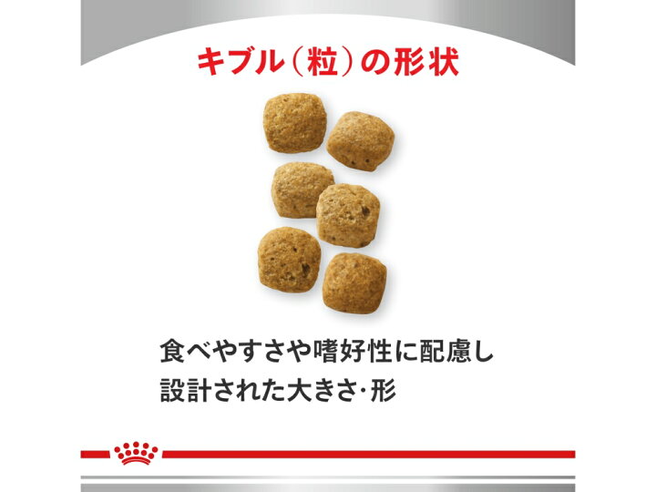 楽天市場】ロイヤルカナン 療法食 犬用 消化器サポート 低脂肪 ドライ 