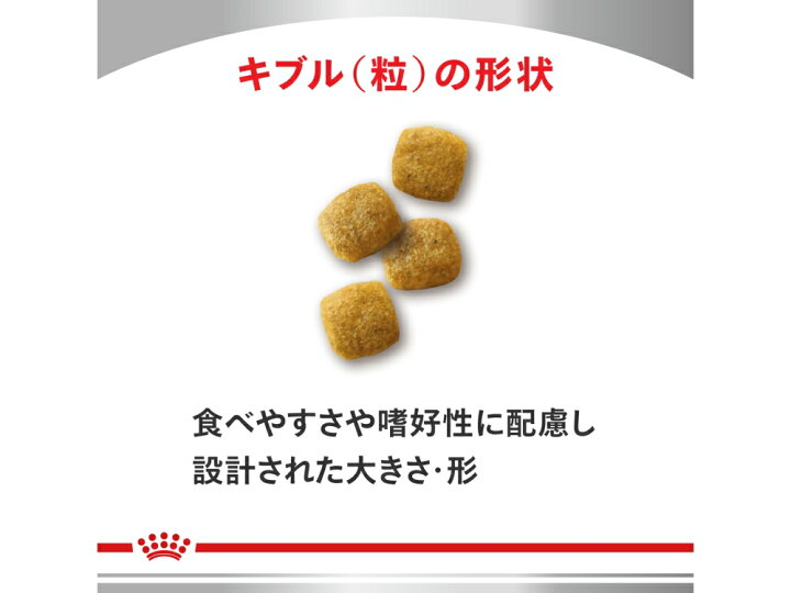 楽天市場】ロイヤルカナン 療法食 犬用 腎臓サポート ドライ 8kg 