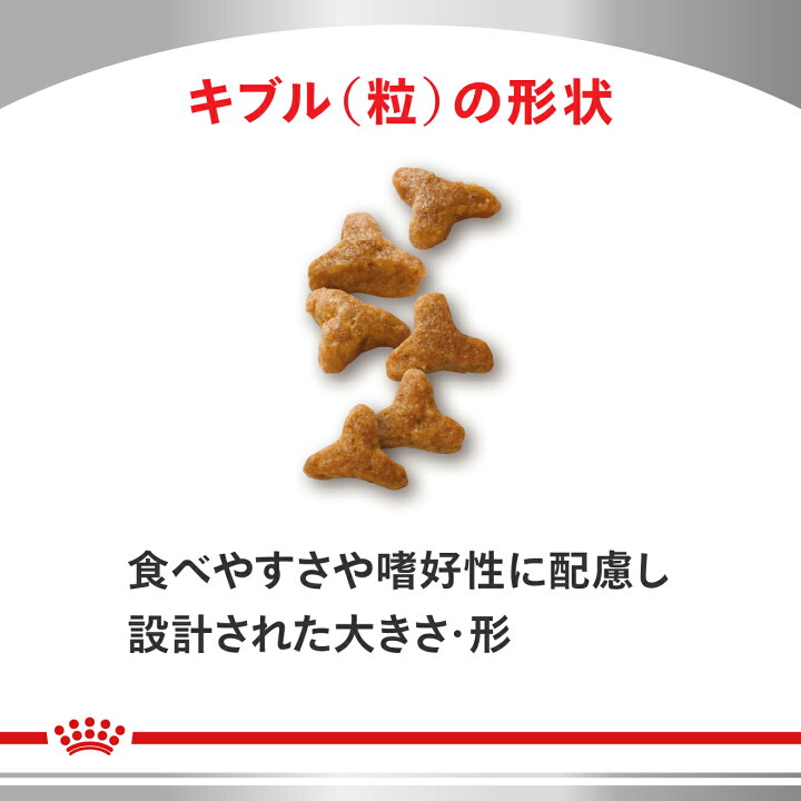 楽天市場】ロイヤルカナン 食事療法食 猫用 消化器サポート 可溶性繊維 