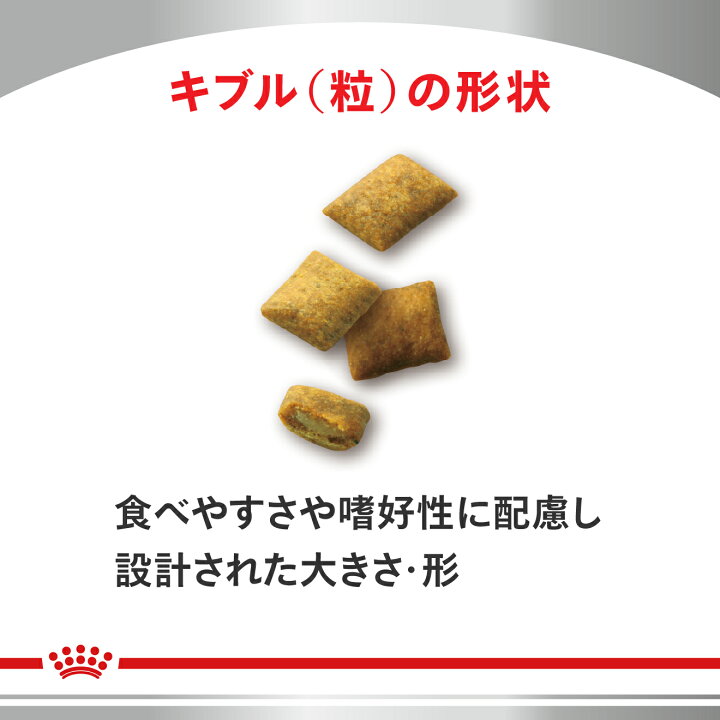 楽天市場】ロイヤルカナン 療法食 猫用 腎臓サポート セレクション 