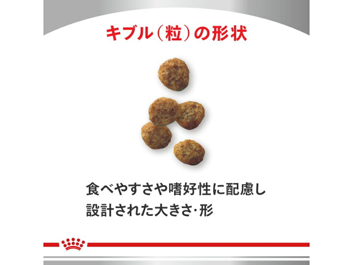 楽天市場】ロイヤルカナン 療法食 犬用 セレクトスキンケア 14kg 