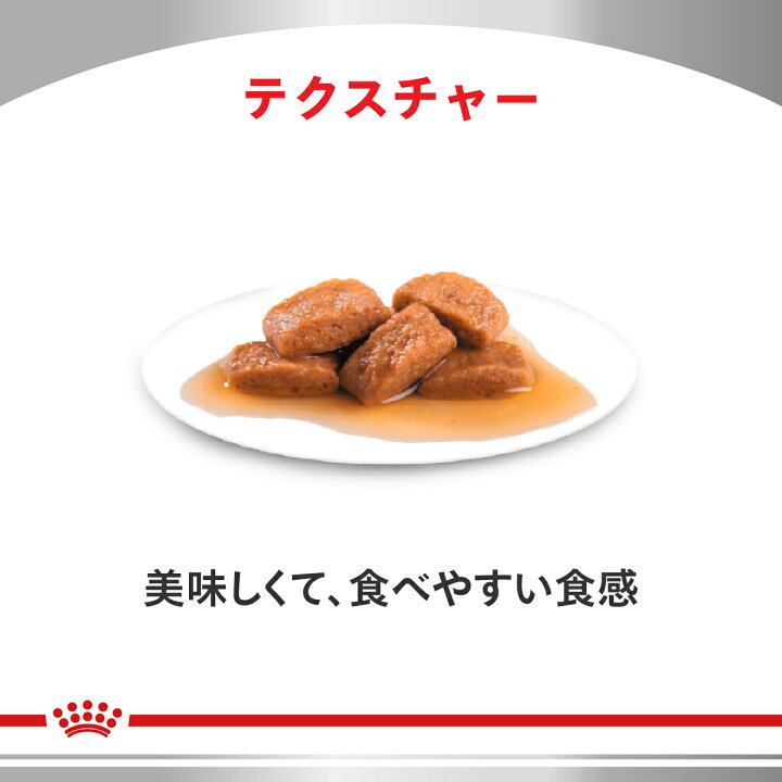 楽天市場】ロイヤルカナン 食事療法食 猫用 早期腎臓サポート パウチ 