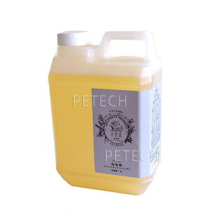 R@їpVv[ 2L@(g[ggVv[)@