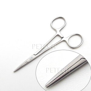 SPC@єiqj@S@Xg[g^Cv@y[֑Ήz