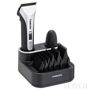 yώntzTHRIVEiXCj3200-P@ubN@Nbp[@y R[hXybgpoJz@