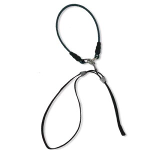 LybNX@hbOoXp[h@y[֑Ήz