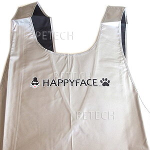 yhzHAPPYFACE@hEyʃGv@(Sver)@g}[pGv@y[֑Ήz
