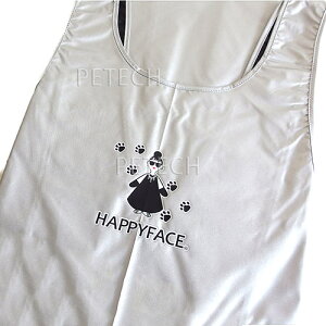 yhzHAPPYFACE@hEyʃGv@(CXgver)@g}[pGv@y[֑Ήz