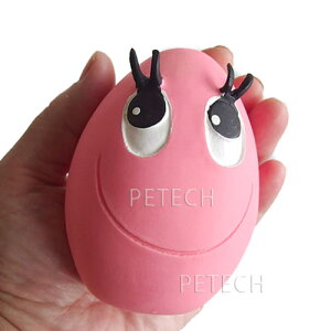 yNEWzTWfB@M܂iƑ傫߁j@iFIтj@