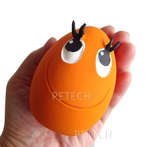 yNEWzTWfB@M܂iƑ傫߁j@iFIтj@