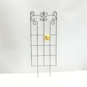 ACAtFXēׁIAeB[NtFXHD81D5cm