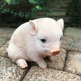楽天市場 おすわり 子豚の通販