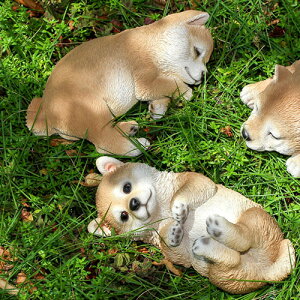 q̃IuWFxj[Yق킩q QY-189-220