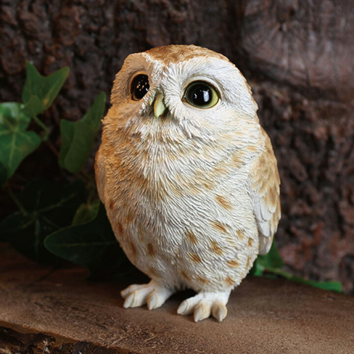 楽天市場 鳥のオブジェ ベニーズモリフクロウ Qy 223 ペットエコ ザガーデン楽天市場店