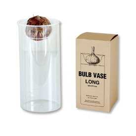 ■ヒヤシンスにお洒落に球根水耕栽培ガラス瓶。　BULB VASE RONG　ロングタイプ　水耕栽培用ポット KEGY4070