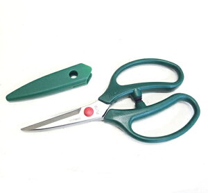 |p͂݁AXGNbVbN@Ԃ͂݃to