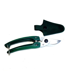 ͂݁AXGNbVbN@~j`LfbNX