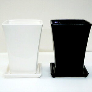 IWi픫IWi@X^CbV픫@󂯎MyYP|4z