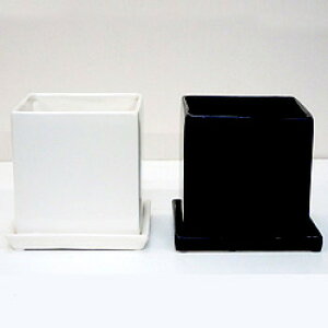 IWi픫IWi@X^CbV픫@󂯎MyYP|2z