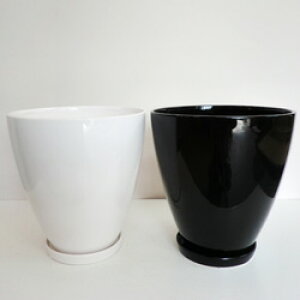 IWi픫IWi@X^CbV픫@󂯎MyYP|19z